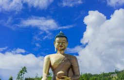 {{brizy_dc_image_alt entityId=