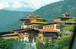 {{brizy_dc_image_alt entityId=