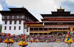 {{brizy_dc_image_alt entityId=