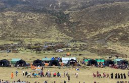 {{brizy_dc_image_alt entityId=